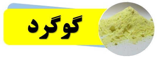گوگرد معدنی ، گوگرد مخصوص کشاورزی ، دام و صنایع 1 خرید پودر گوگرد مخصوص کشاورزی