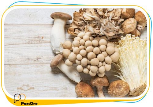 پودر گچ خام کشاورزی بستر کشت قارچ گانودرما