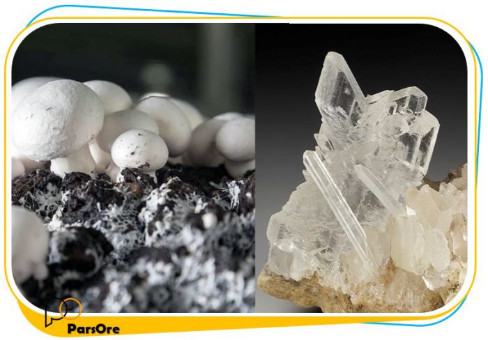 گچ خام سولفات کلسیم پرورش قارچ