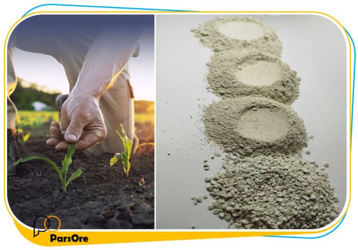 زئولیت کشاورزی زئولیت پتاسیمی کلینوپتیلولایت زئولیت مکمل اصلاح خاک