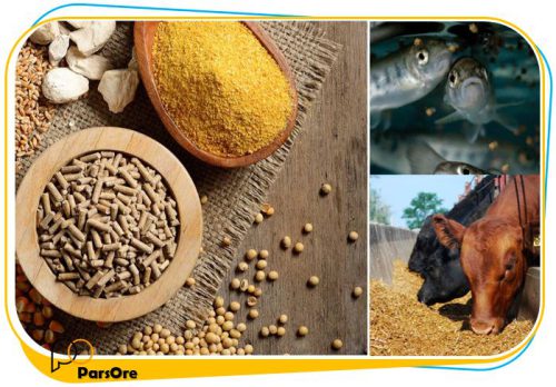 کربنات کلسیم خوراک دام طیور و آبزیان