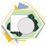 بوم گچی سبک پلی استر