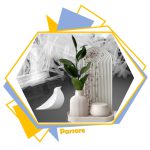 استحکام سازی الفاپلاس