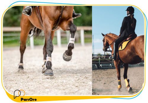 ماسه سیلیس مانز اسب سواری خاک ماسه