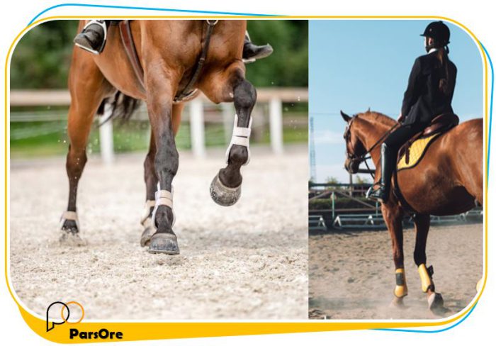 ماسه سیلیس مانز اسب سواری خاک ماسه