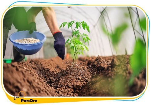 گوگرد معدنی گرانوله مخصوص کشاورزی باغداری