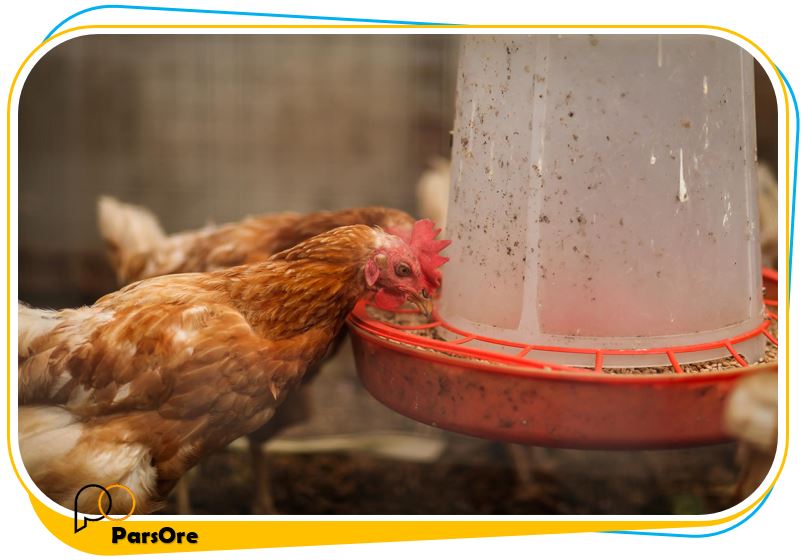 پودر کربنات کلسیم و زئولیت برای تولید دان مرغ