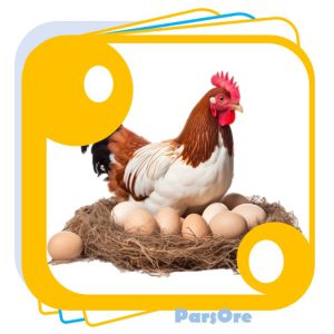 کربنات کلسیم در دان مرغ کلسیم دار