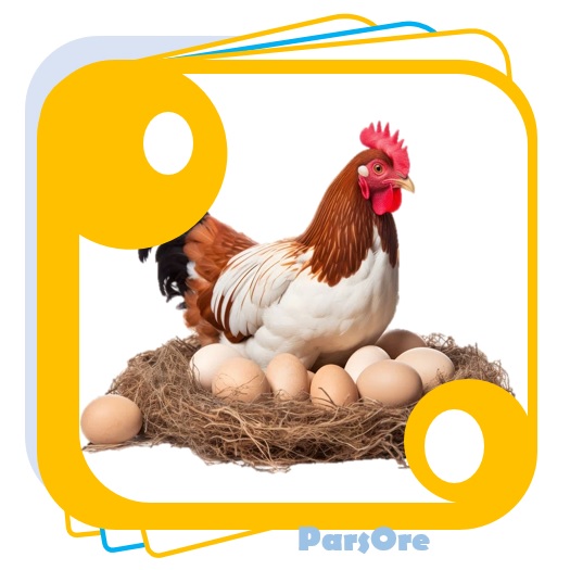 کربنات کلسیم در دان مرغ کلسیم دار