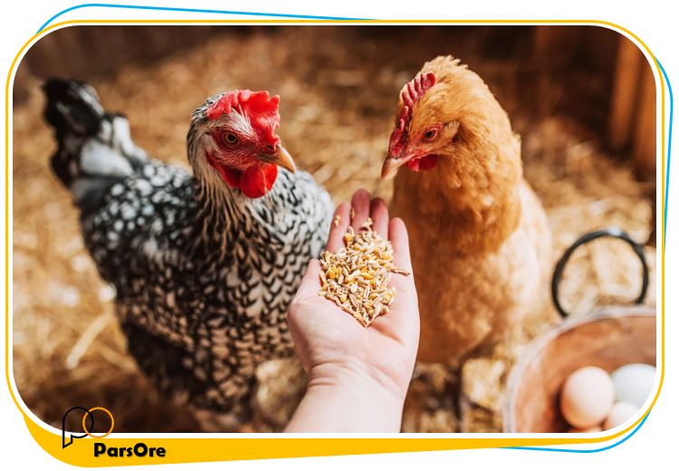 ترکیبات مواد معدنی دان مرغ کلسیم دار