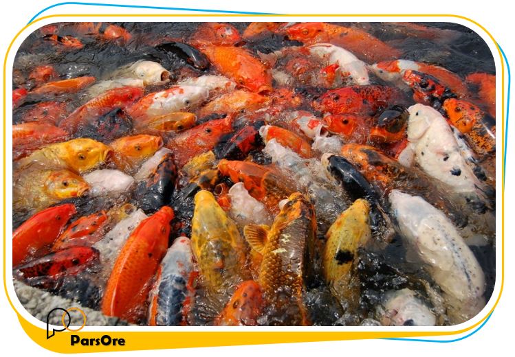 مواد مورد نیاز در پرورش ماهی ، میگو ، حلزون ، خرچنگ