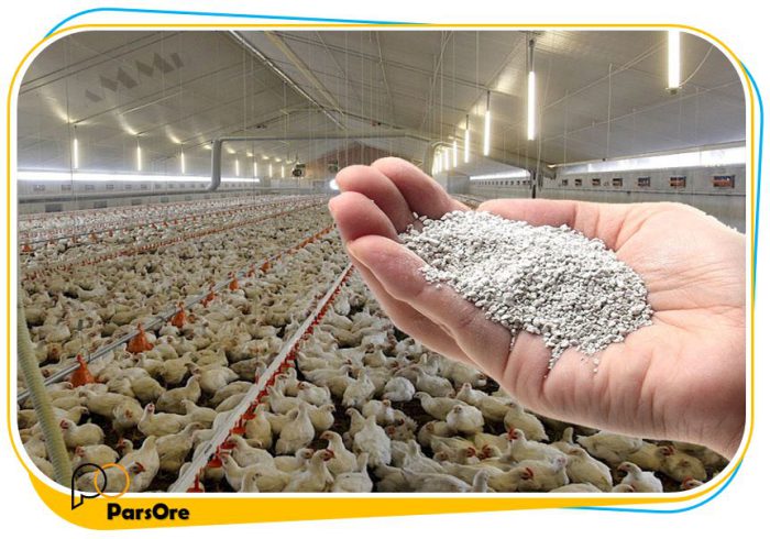خرید زئولیت کلینوپتیلولایت خوراک دام و طیور دان مرغ و آبزیان