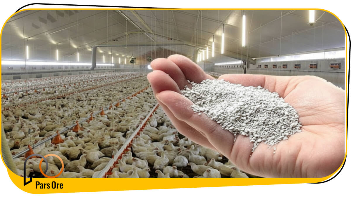 کاربردهای اصلی زئولیت خوراک دام پارس اور