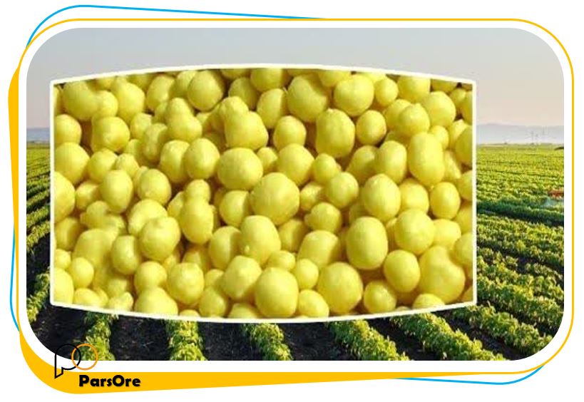 10 اثر قابل توجه گوگرد کشاورزی بر میوه ها 11 گوگرد کشاورزی