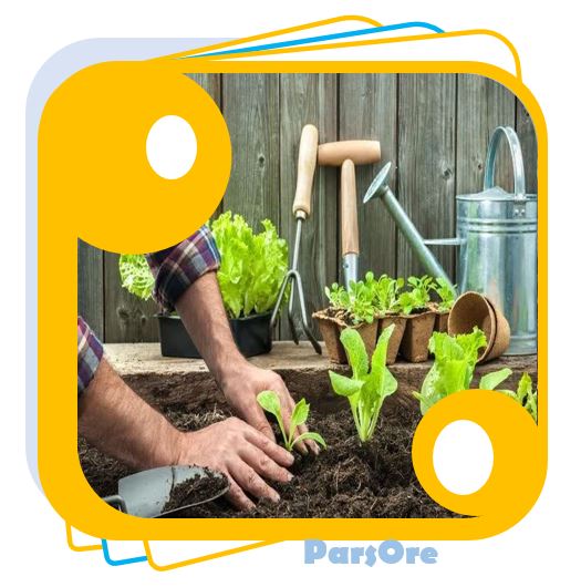 روش مصرف کود