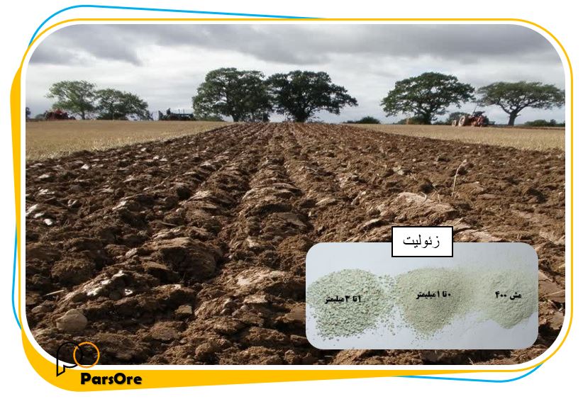 روش پوساندن کود با زئولیت 11 پوساندن کود