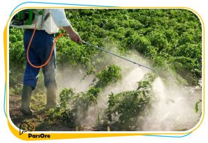 چگونه در گرمای تابستان از میوه های باغی محافظت کنیم؟ 13 کائولن کشاورزی