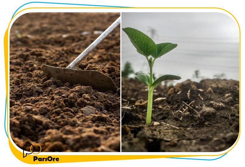 روش پوساندن کود با زئولیت 12 پوساندن کود