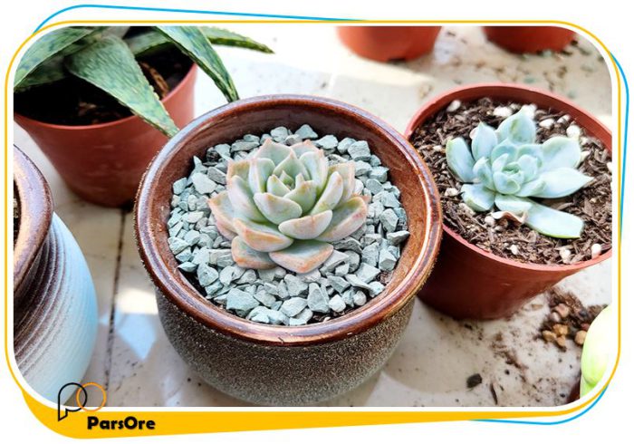 سنگ تزئینی گلدان و باغچه با رنگ سبز - Image 2