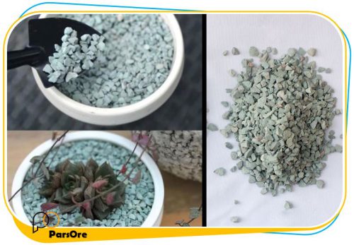 سنگ تزئینی گلدان و گیاهان آپارتمانی سبز روشن