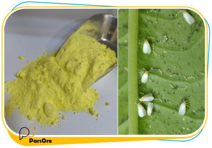 پودر گوگرد مخصوص دفع حشرات و آفت کش