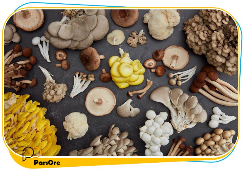 آموزش پرورش قارچ خوراکی و انواع قارچ ها