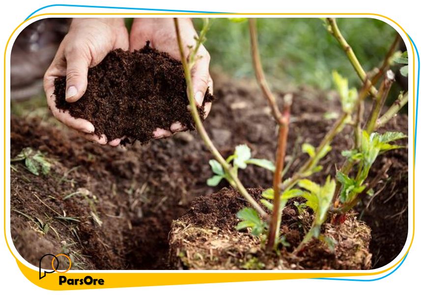 روش چالکود برای درختان و گیاهان مزرعه و باغ