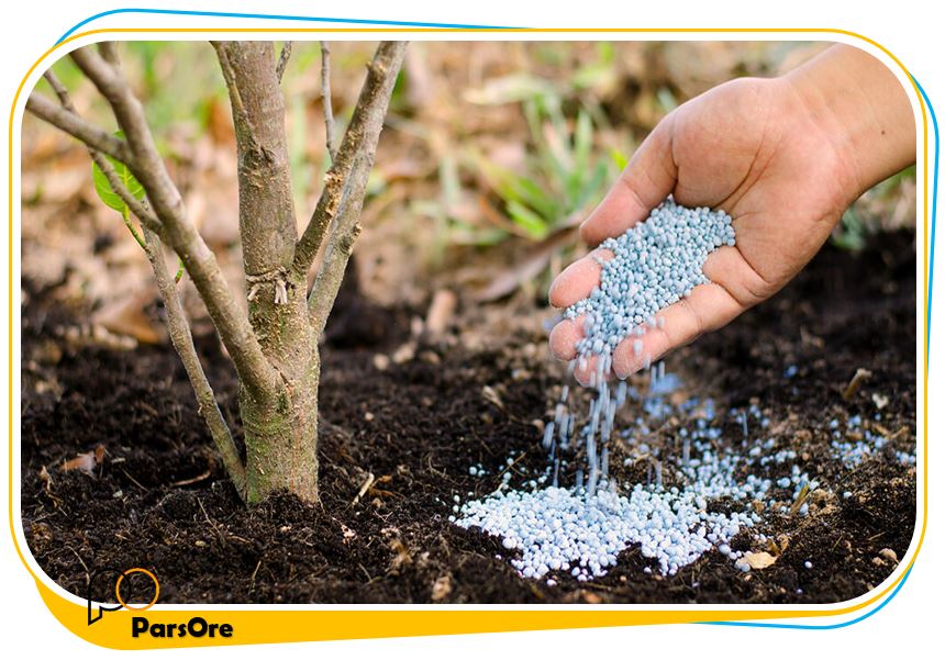 گوگرد بنتونیتی و زئولیت در چالکود درخت باغ