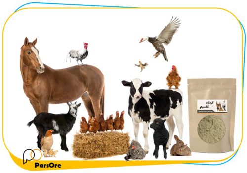 پودر کربنات کلسیم مخصوص خوراک دام و طیور مش 400 برای تولید فرآورده های دامی