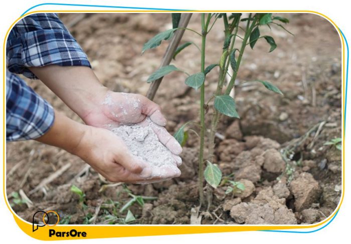 گچ خام مخصوص کشاورزی پودر ژیپس مخصوص باغ میوه و سبزی کاهش شوری و اسیدی خاک