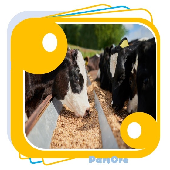 پودر معدنی تامین کلسیم دام و طیور