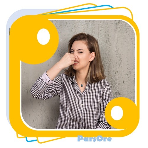 پودر بوگیر طبیعی خانگی برای جذب بو