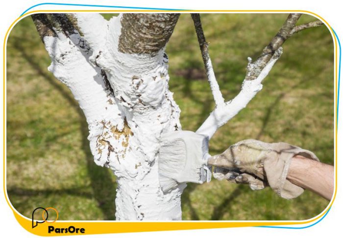 کائولن کشاورزی برای پوشش تنه درختان از آفتاب سوختگی