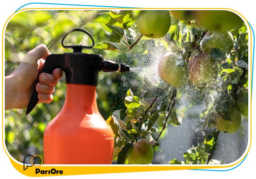 محلول پاشی درختان با کائولینیت برا آفتاب سوختگی میوه