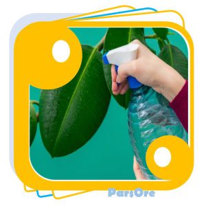 صابون چسب ضد حشره و ضد آفت برای گیاهان آپارتمانی ساخت صابون کشاورزی