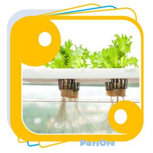 مواد غذایی محلول هیدروپونیک کشت در آب