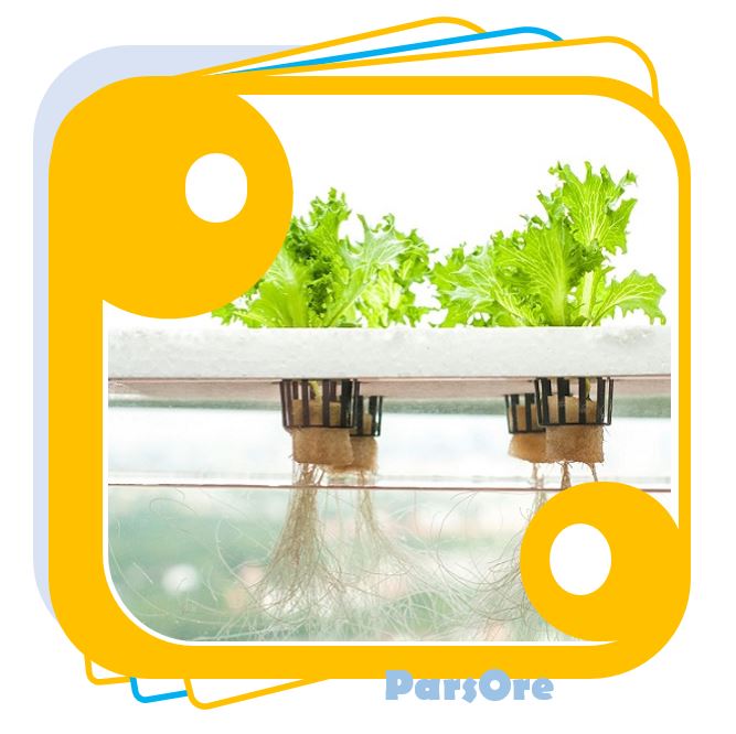 مواد غذایی محلول هیدروپونیک کشت در آب