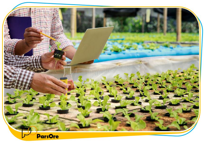 محلول غذایی کشت هیدروپونیک، مواد اولیه کشت در آب