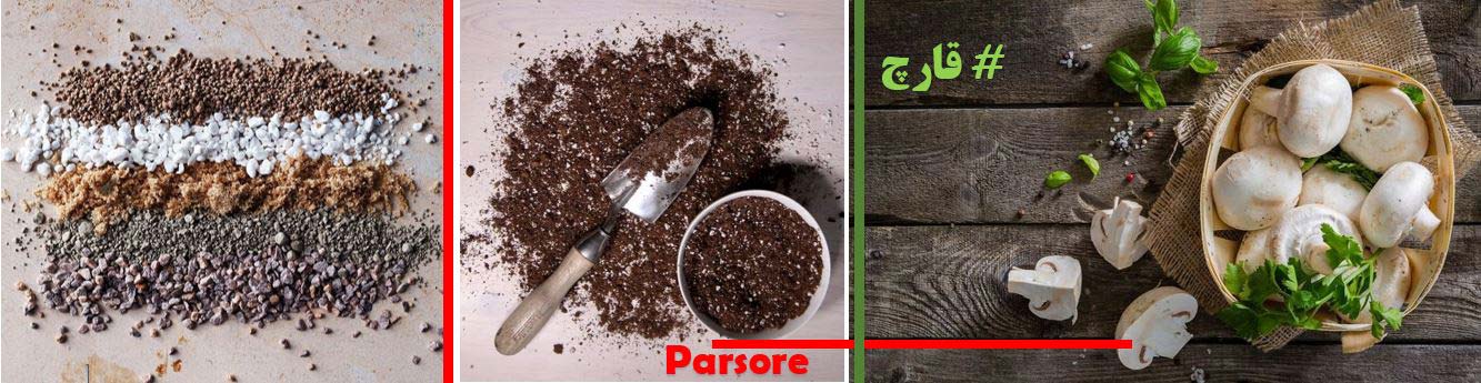 بنر پرورش قارچ