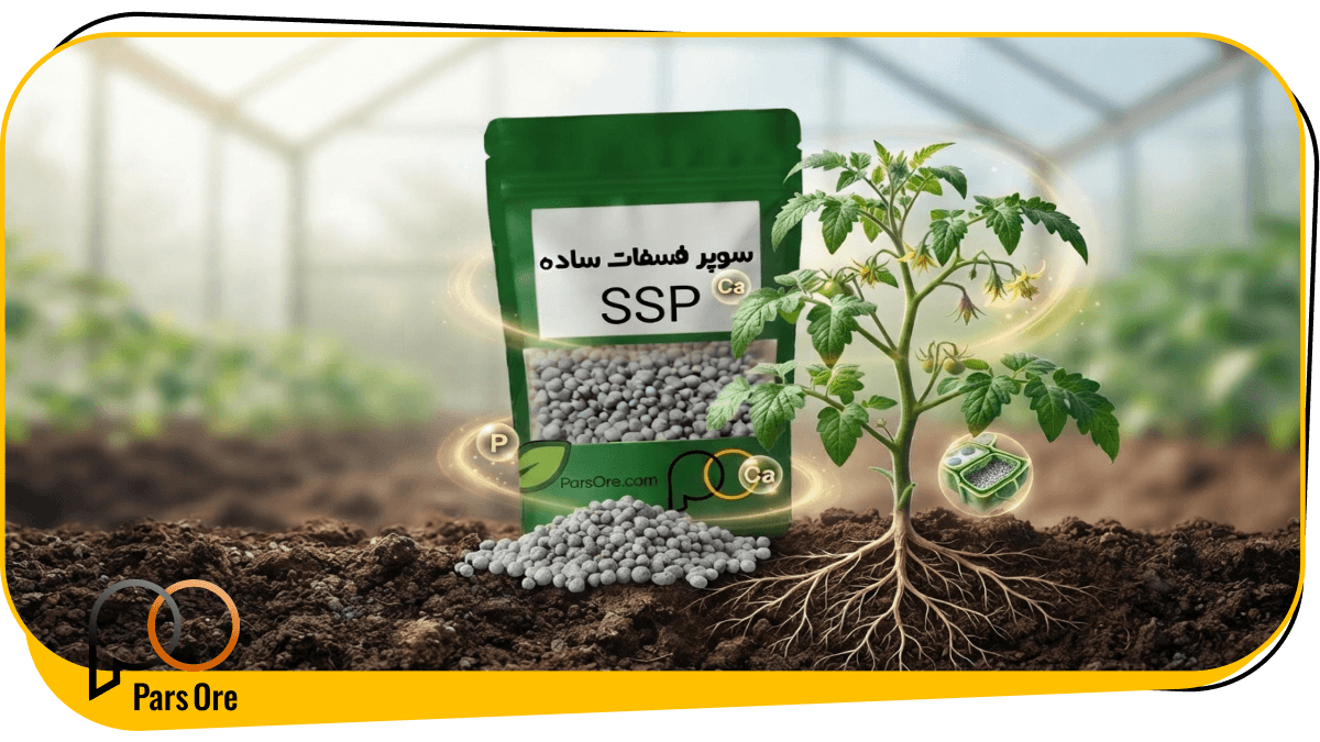 بهترین زمان مصرف و میزان مصرف سوپر فسفات ساده در هر هکتار