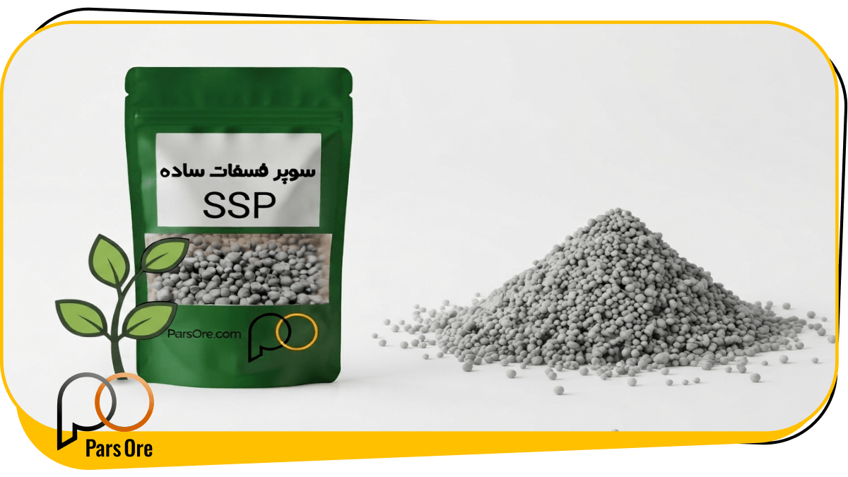 کود سوپر فسفات ساده چیست و چرا برای خاک‌های آهکی ایران یک ضرورت است؟