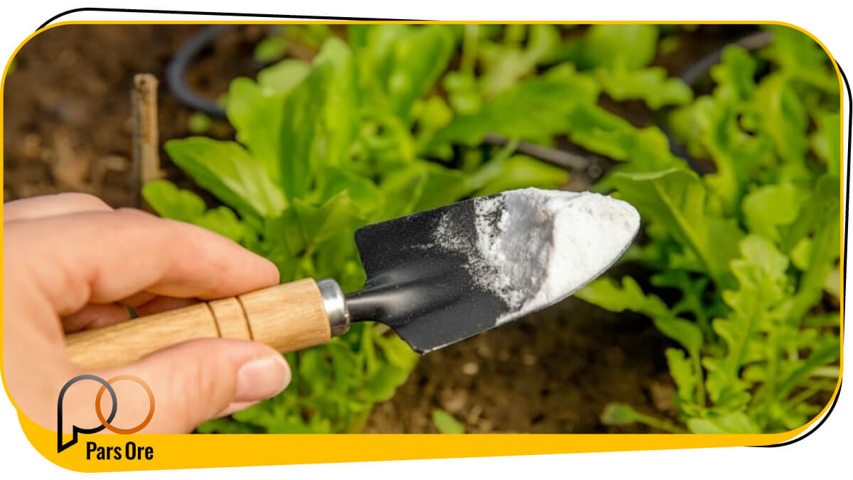 کلسیم و گوگرد؛ فراتر از یک تغذیه ساده برای باغات پسته
